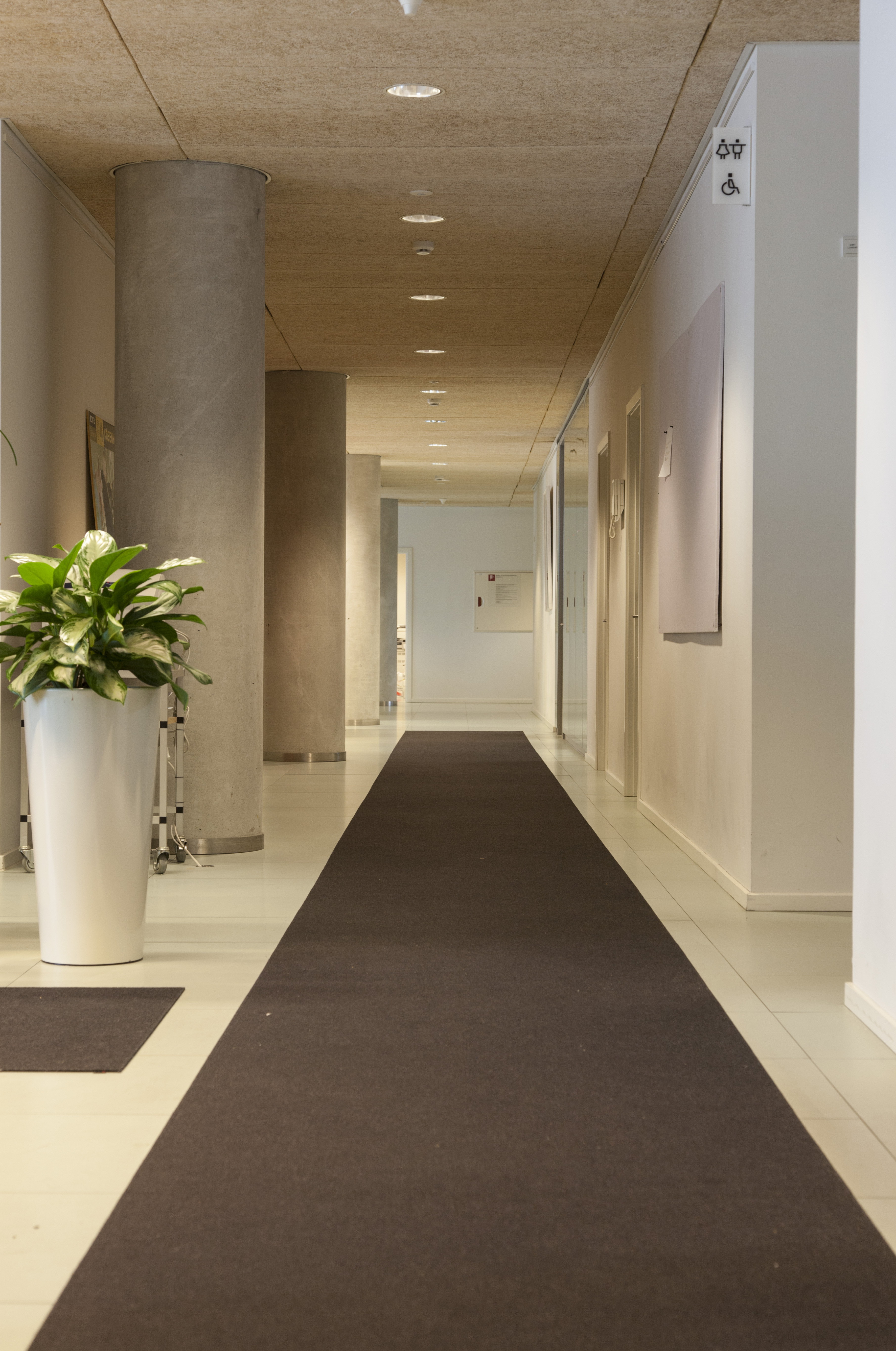 Fraster rød filt løber, DR byen (3)